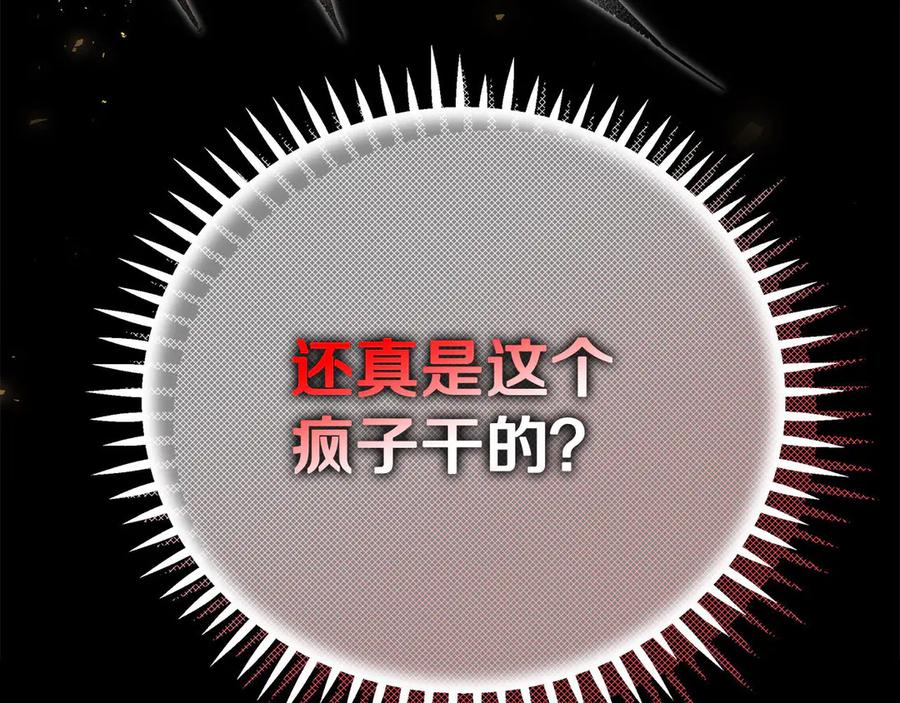 223.jpg