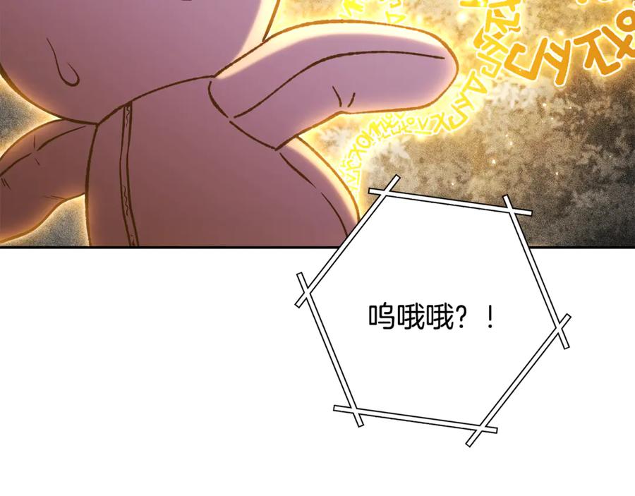 239.jpg