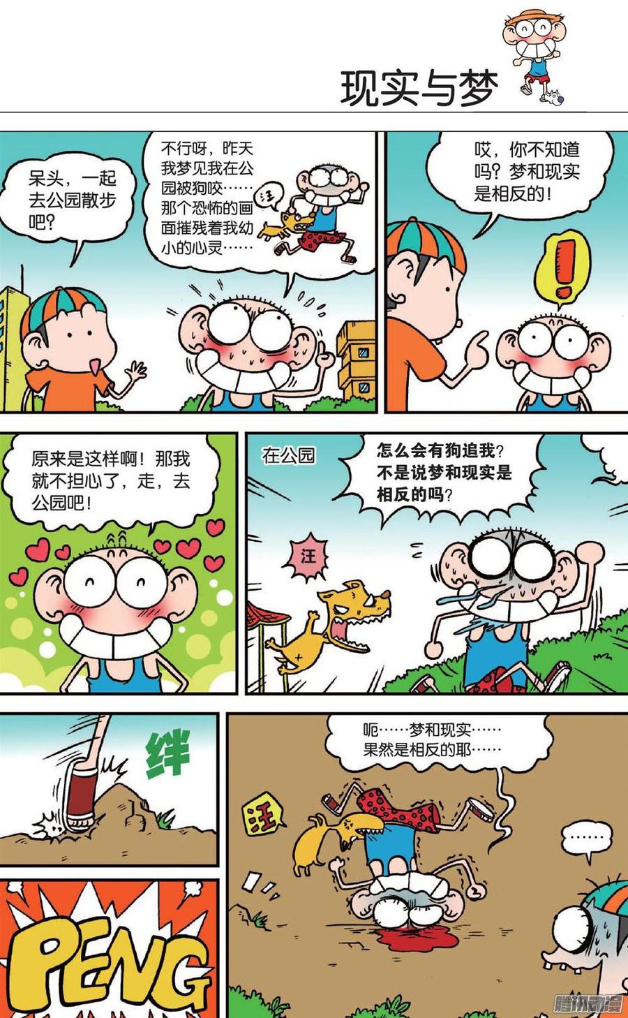 6.jpg