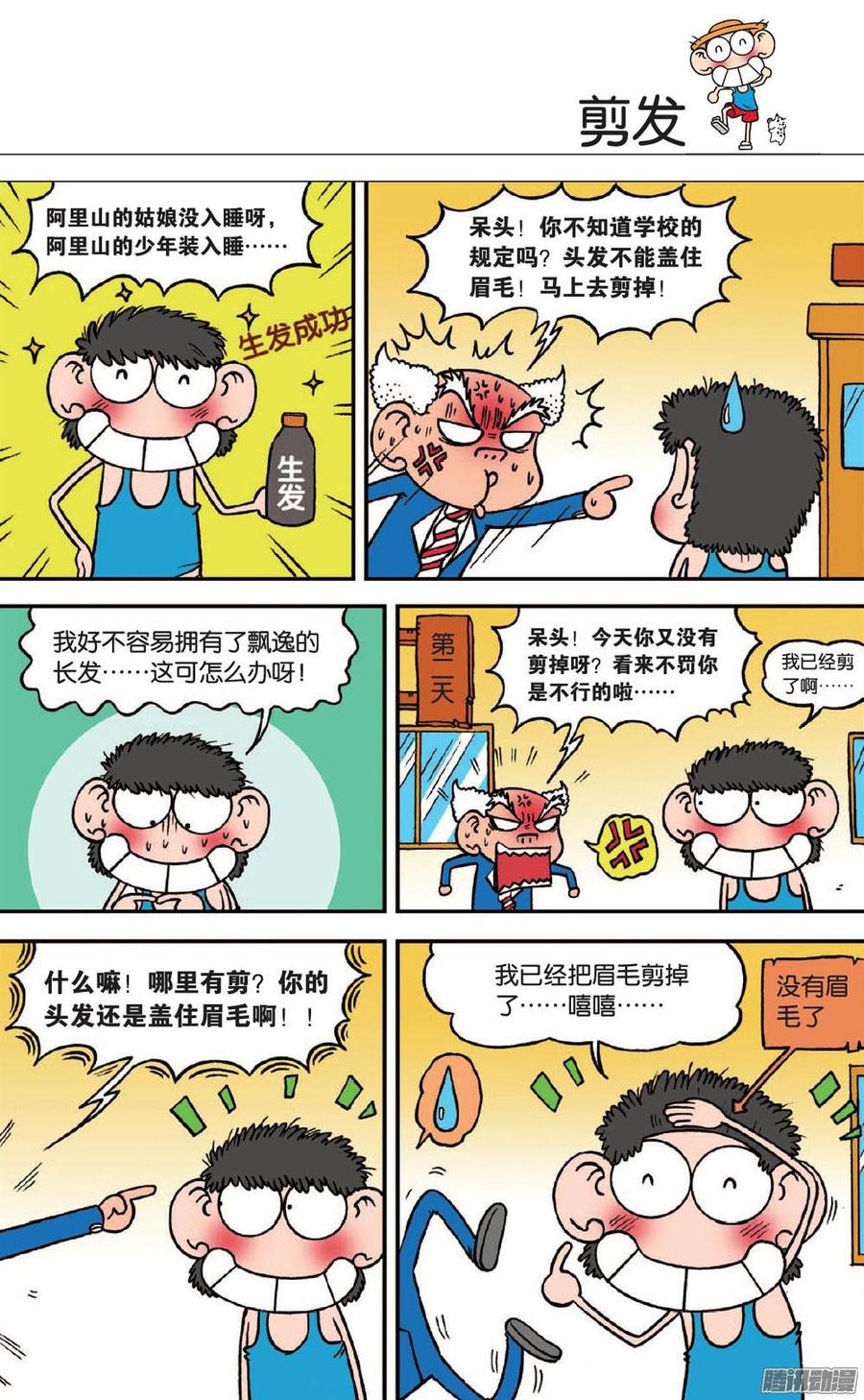 5.jpg