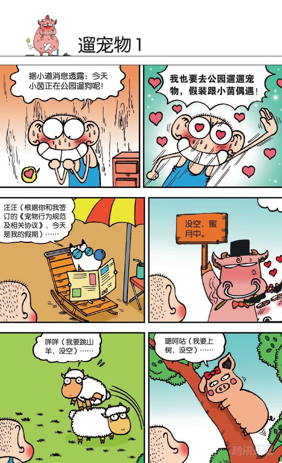 5.jpg