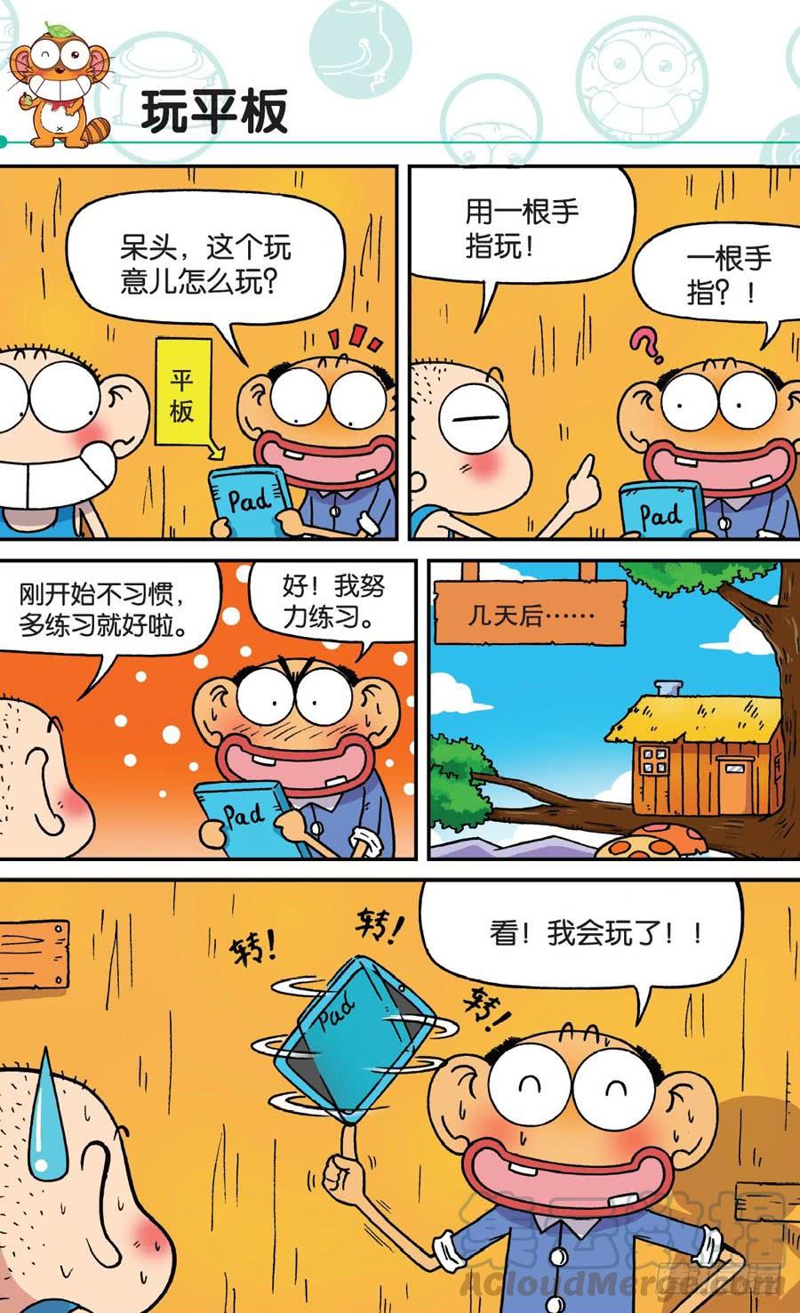 11.jpg