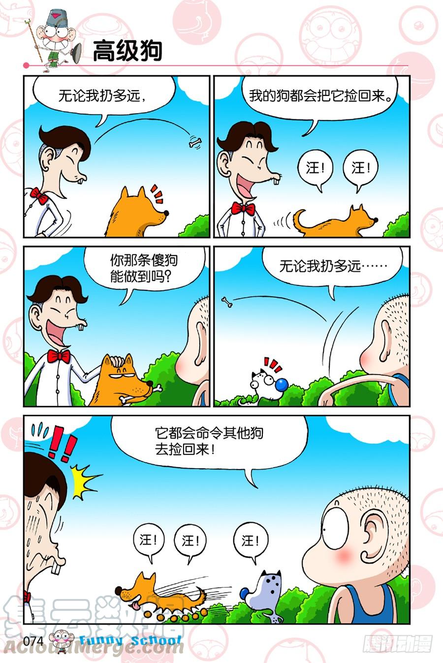11.jpg