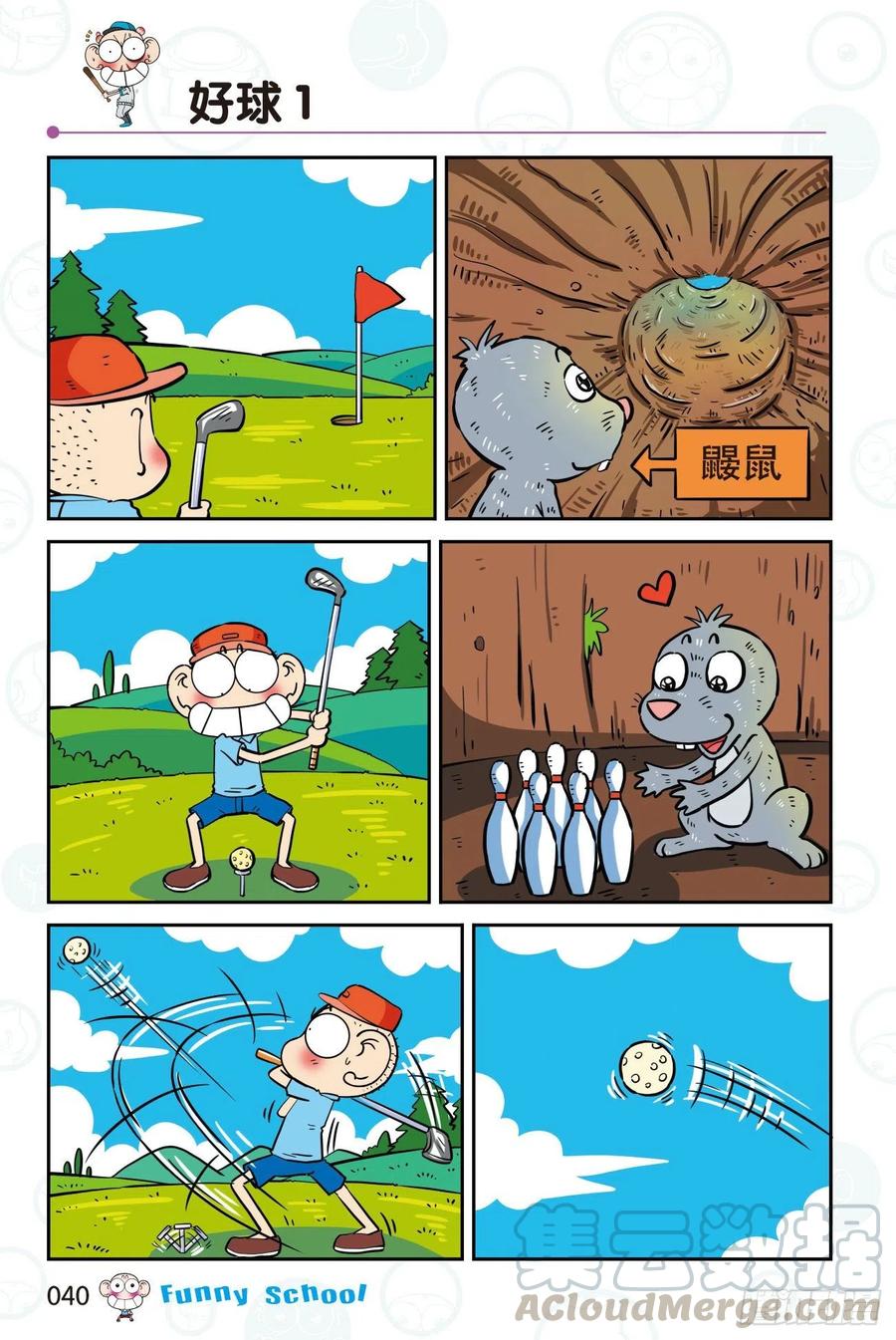 4.jpg