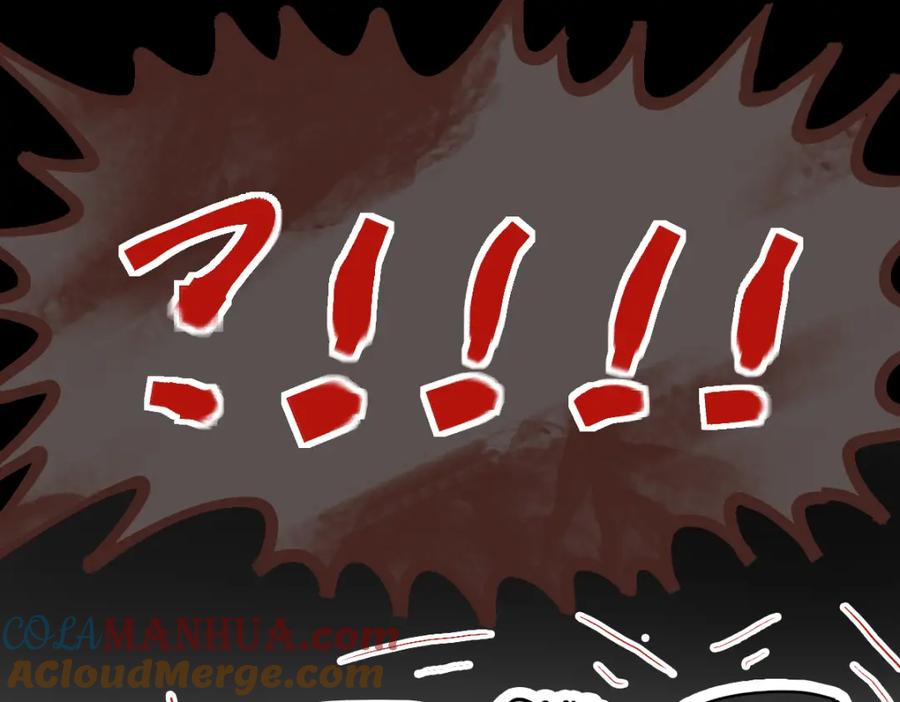 113.jpg