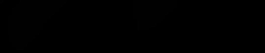 171.jpg