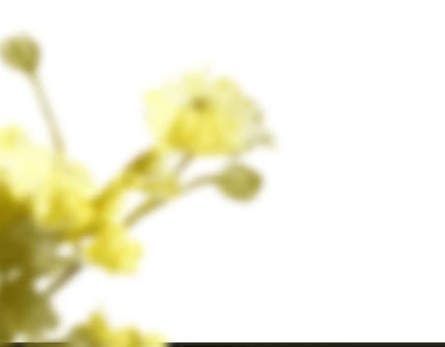 98.jpg