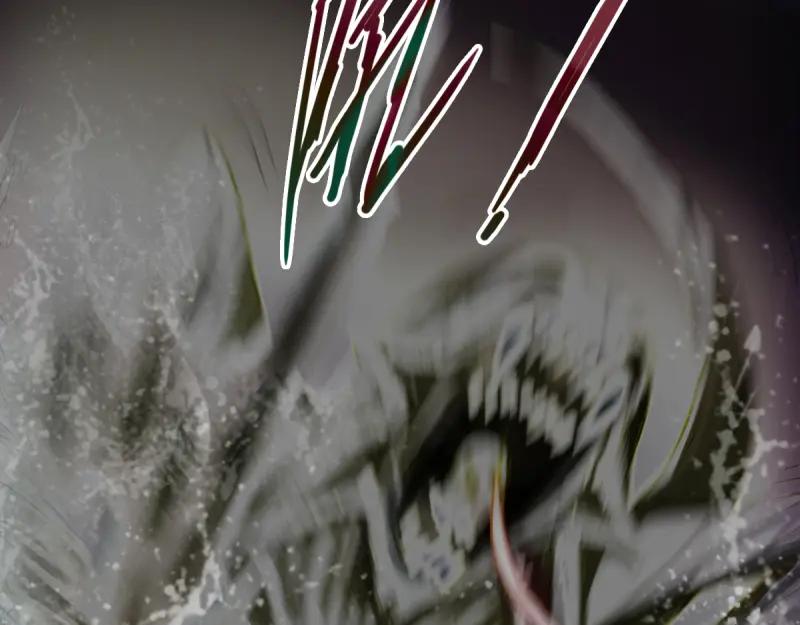 80.jpg