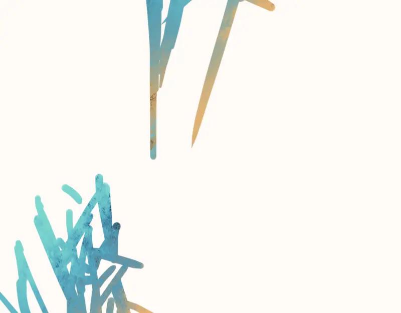 80.jpg