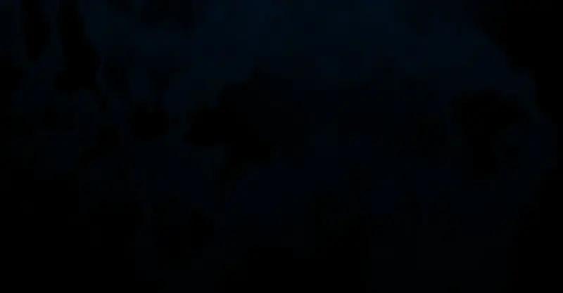 90.jpg