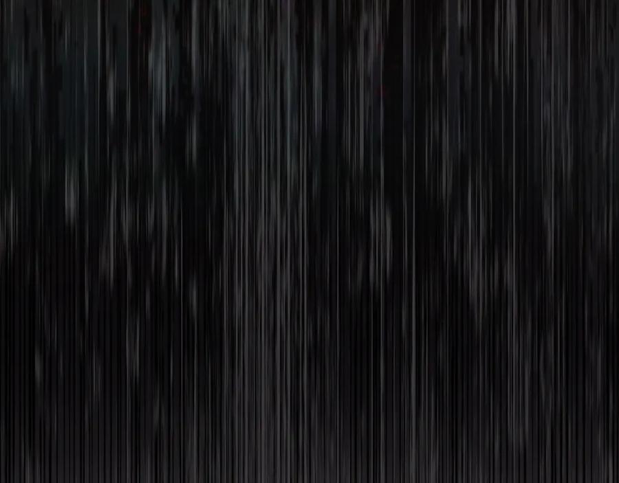 251.jpg