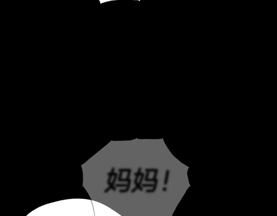 223.jpg
