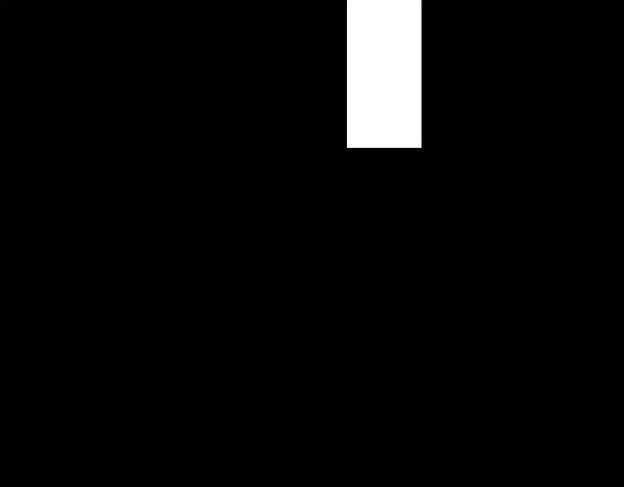 196.jpg