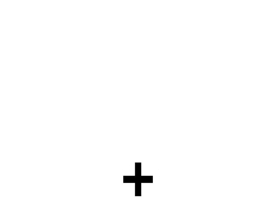 264.jpg