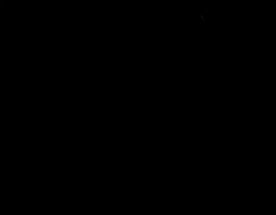 239.jpg