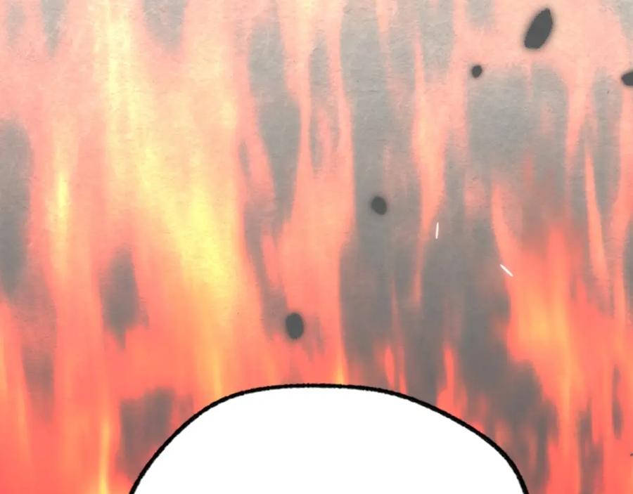 260.jpg