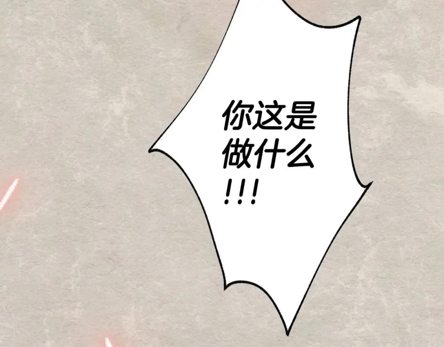256.jpg