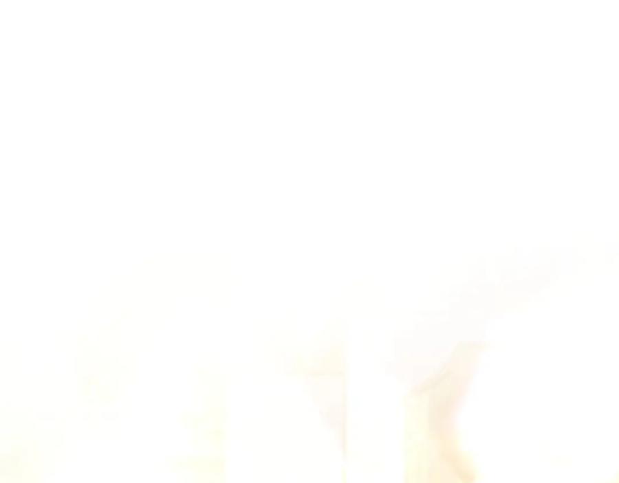 91.jpg