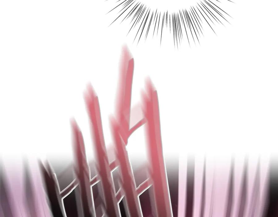 167.jpg