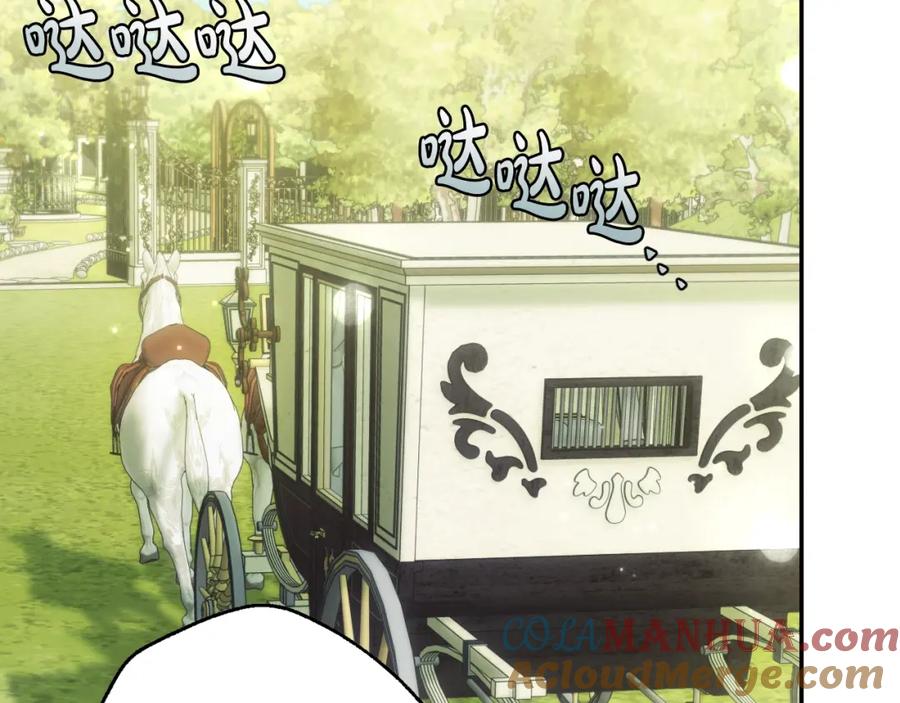 173.jpg