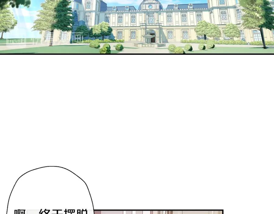 71.jpg