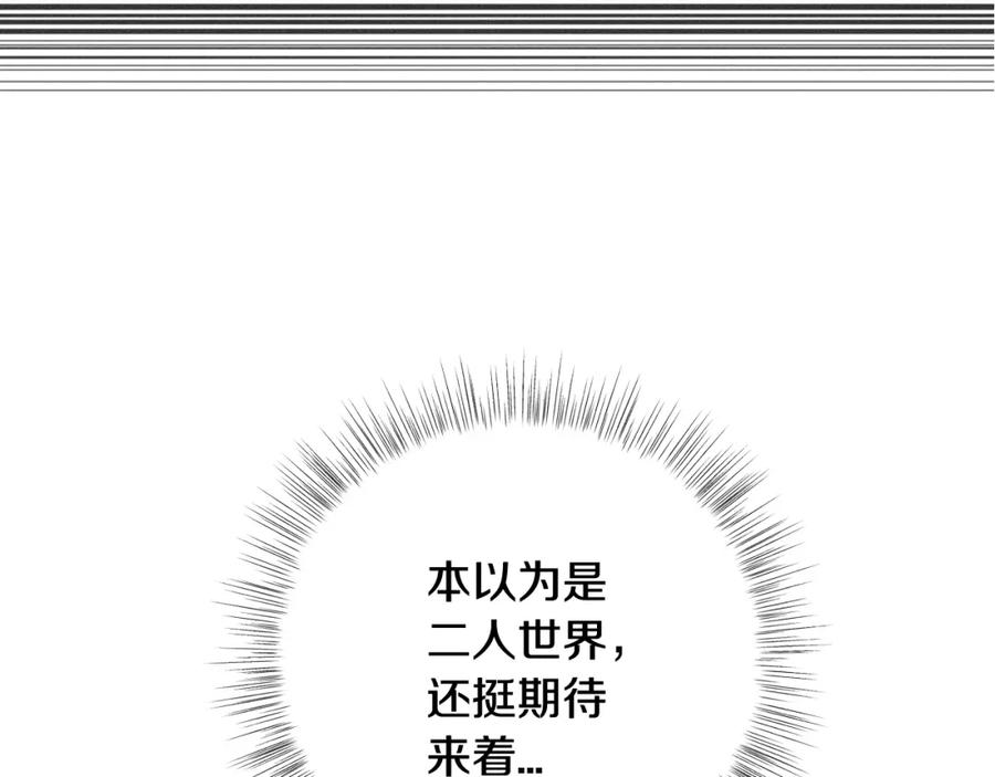223.jpg