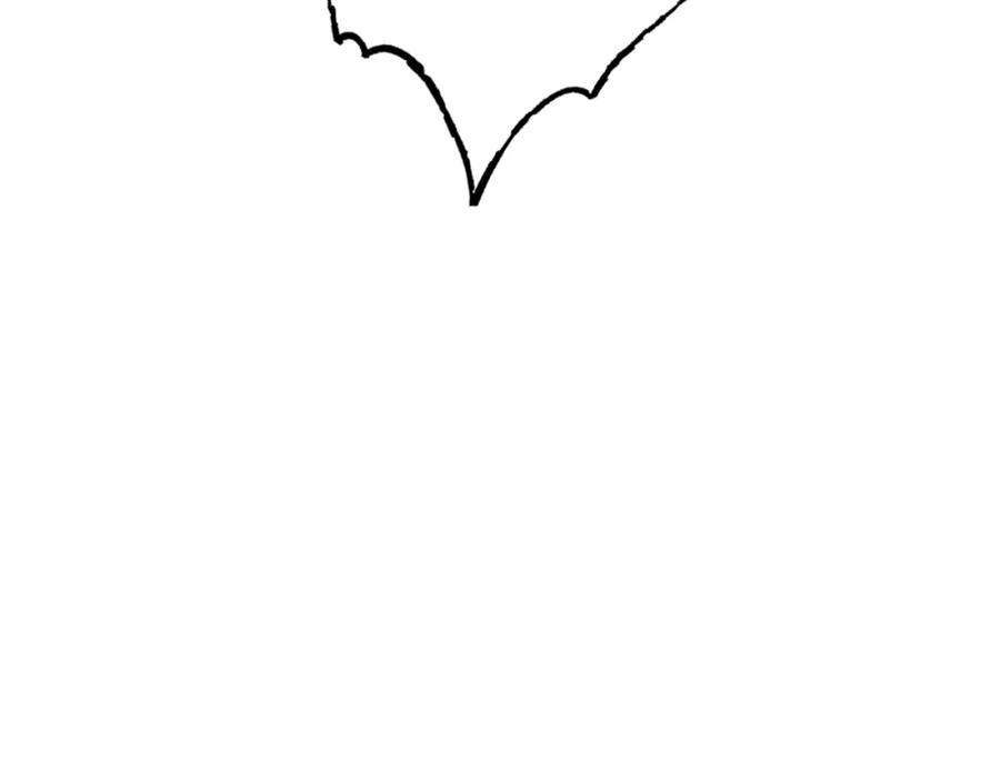 56.jpg