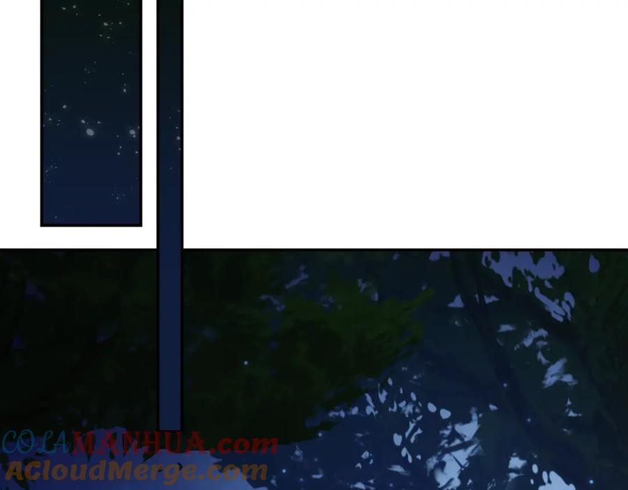 213.jpg