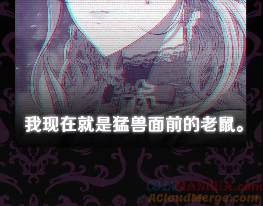 245.jpg