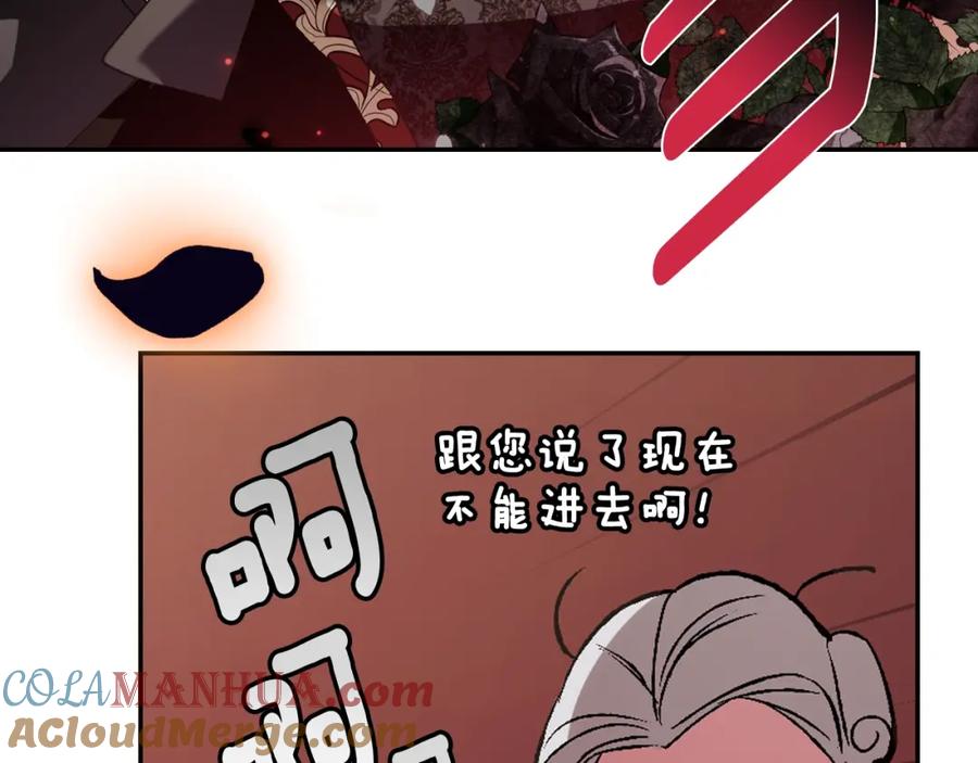 213.jpg