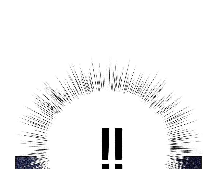 95.jpg