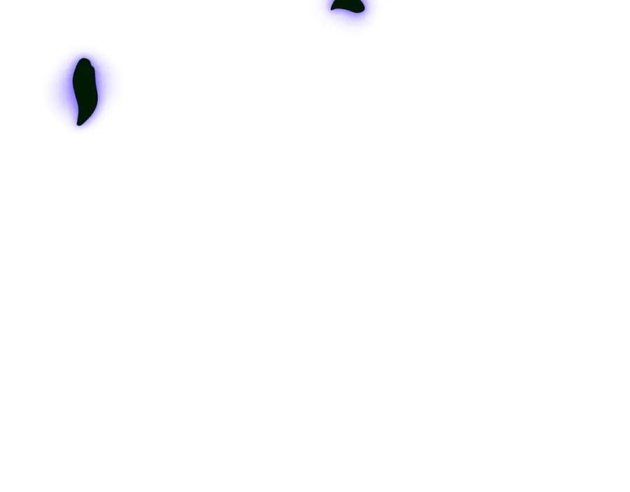 242.jpg