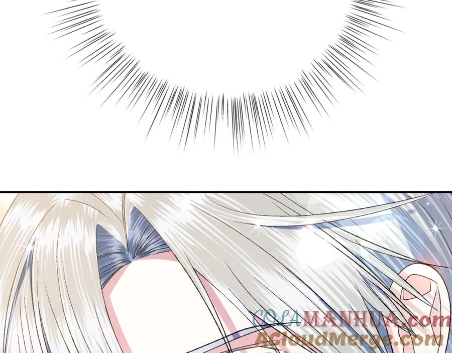 241.jpg