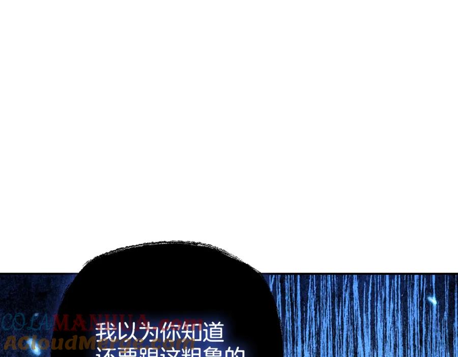 205.jpg