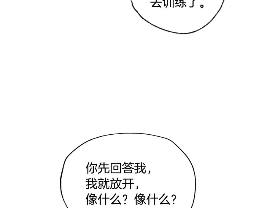 243.jpg