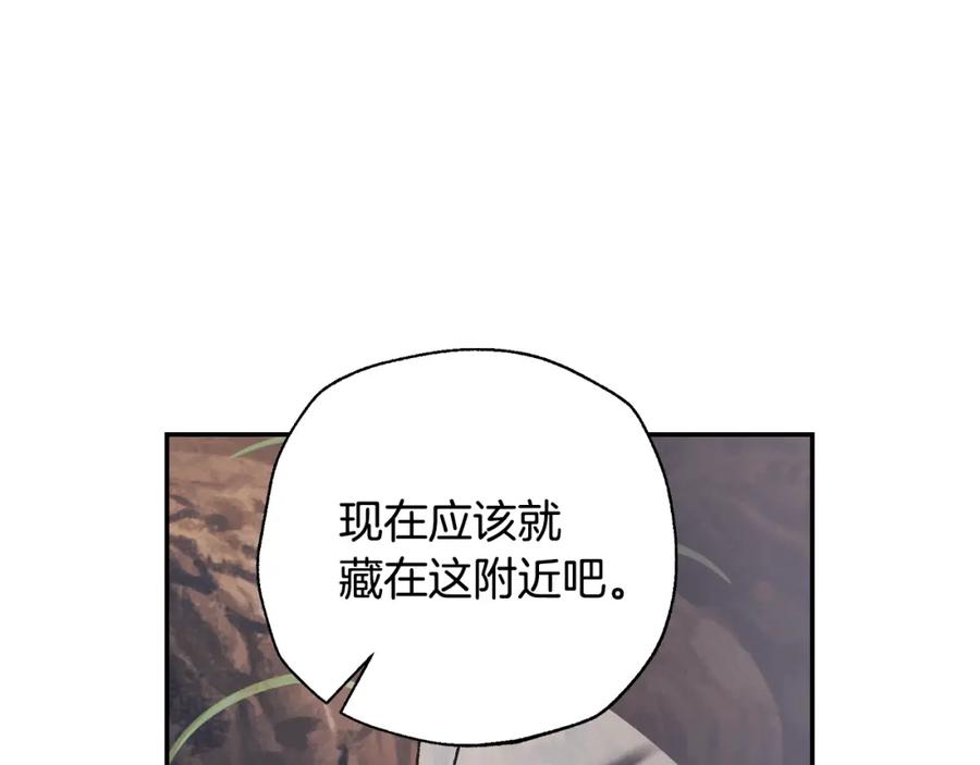 95.jpg