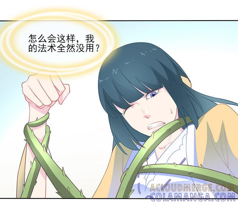 必取蛇胆-天乩之白蛇传说-追梦动漫（第15张）