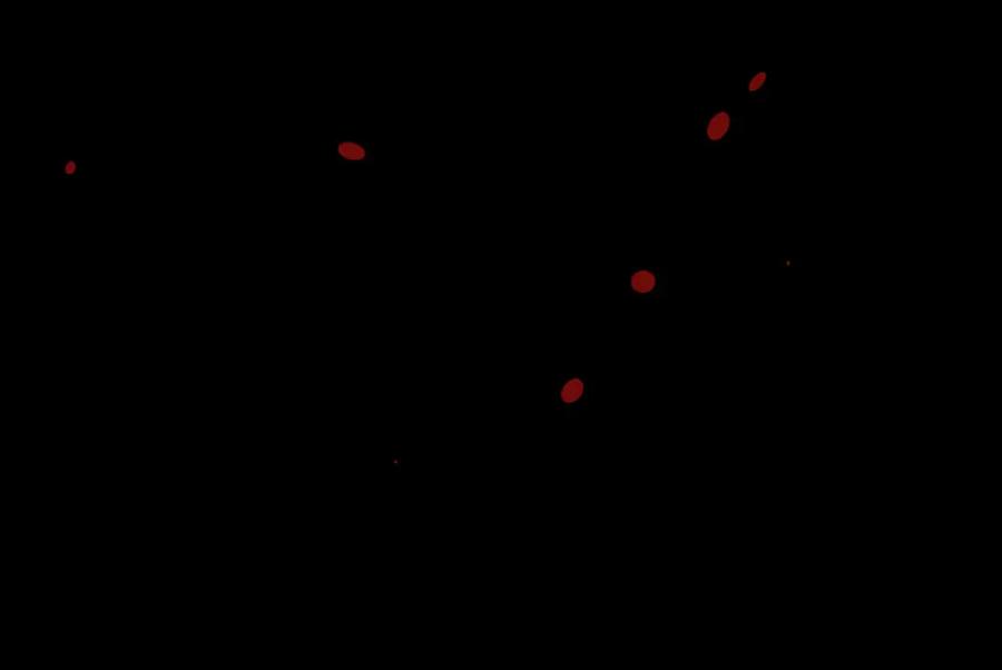 88.jpg