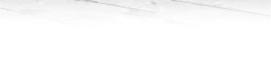 102.jpg
