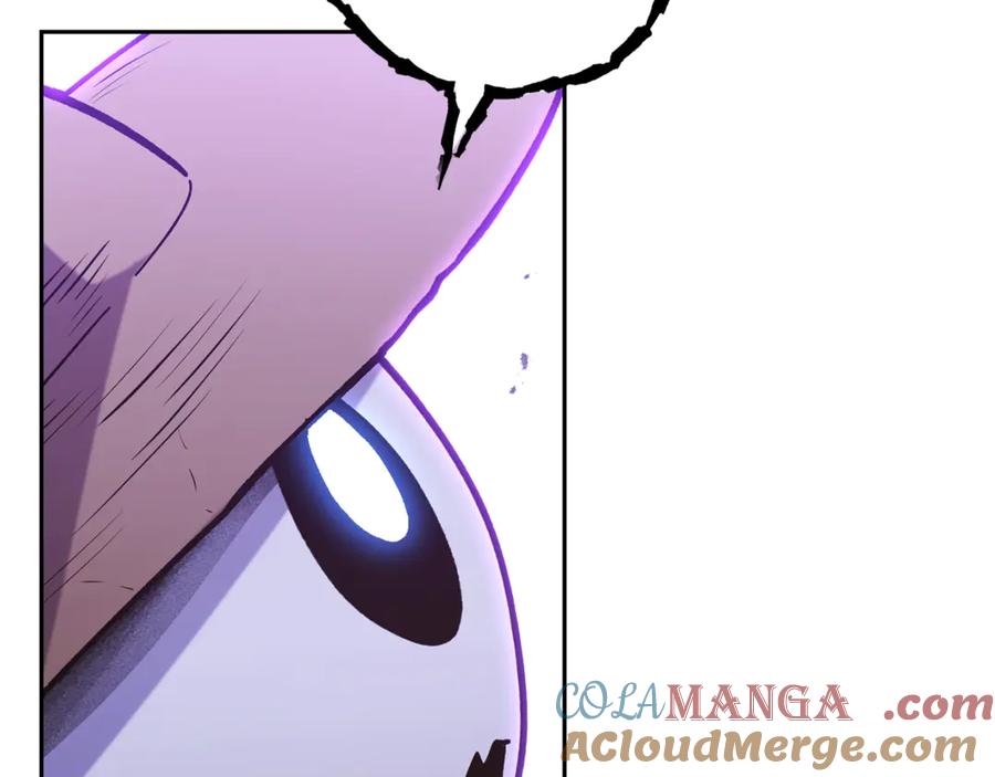 241.jpg