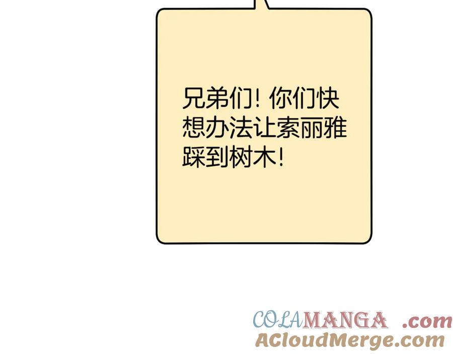 213.jpg