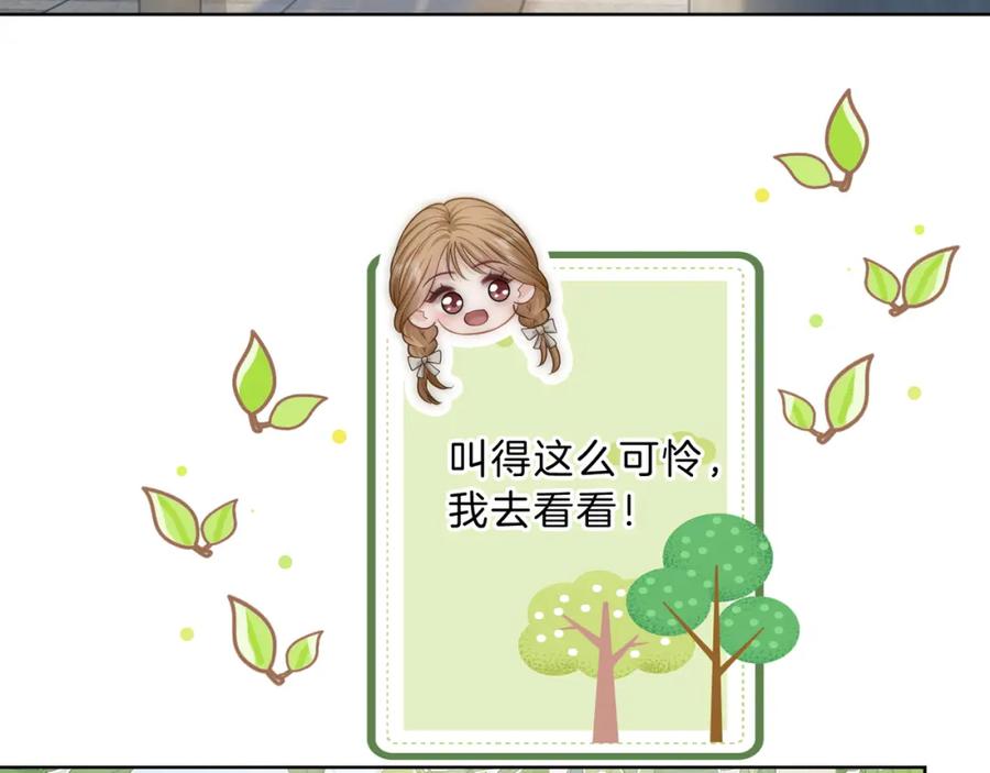 96.jpg