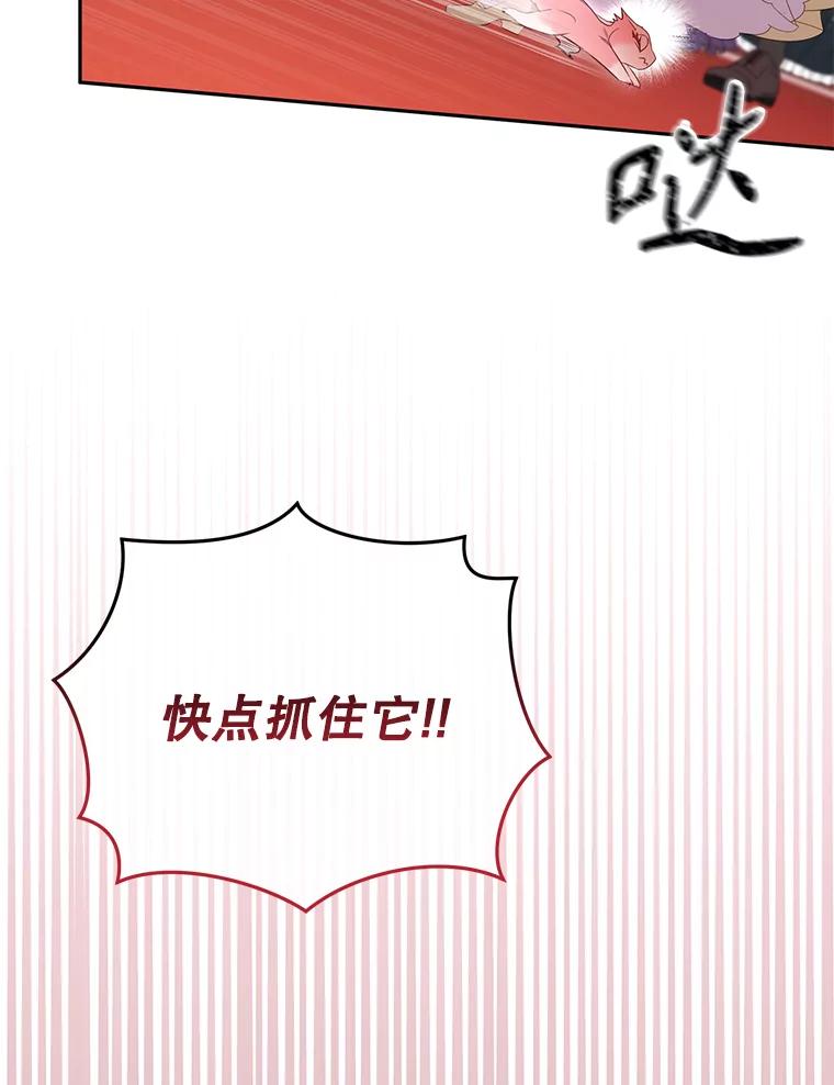95.jpg