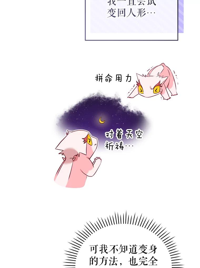 96.jpg