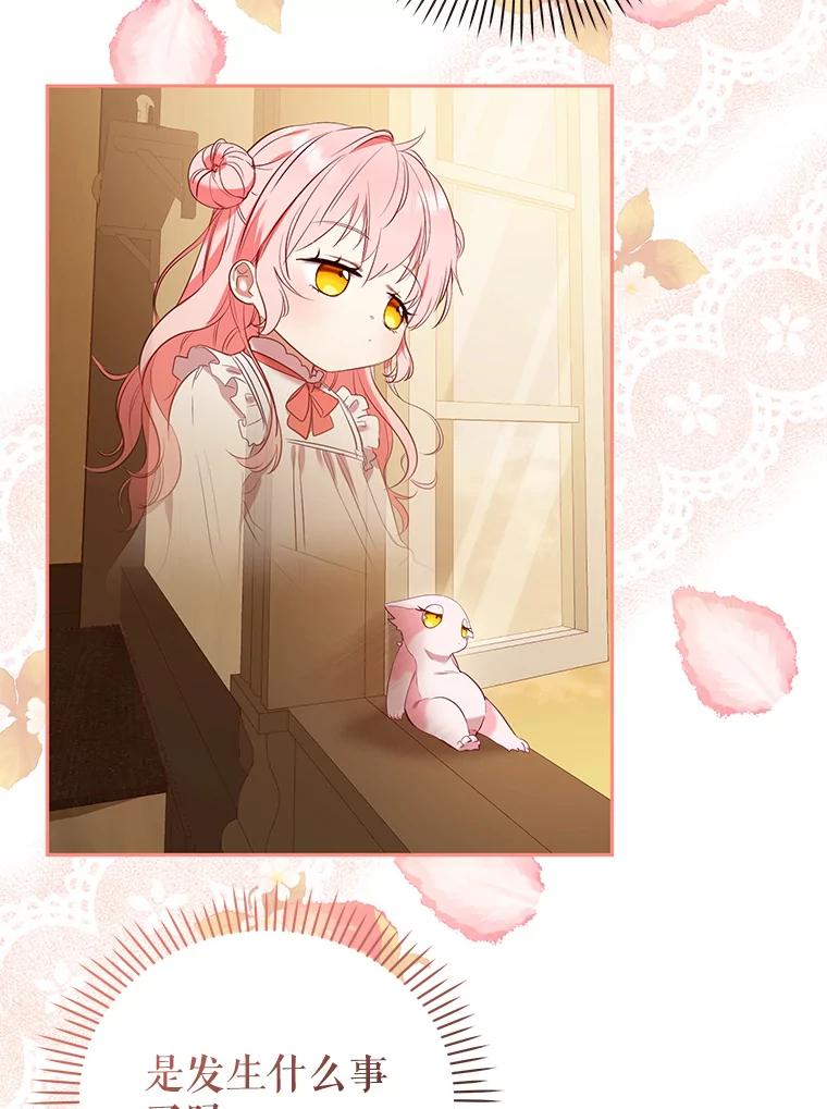 123.jpg