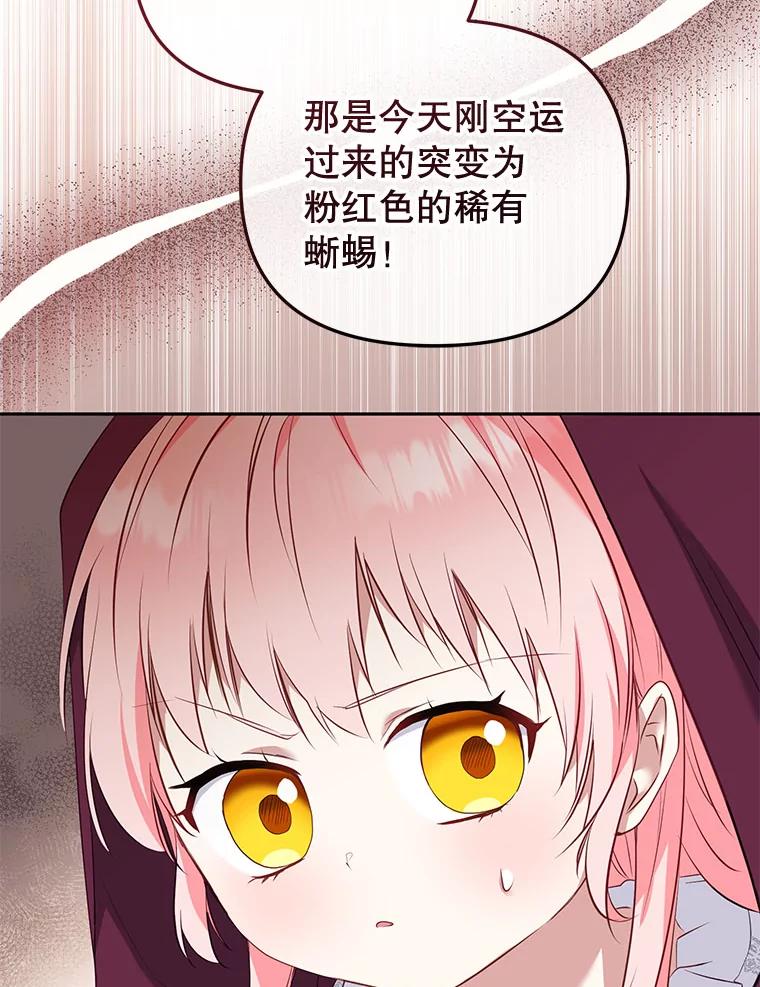 67.jpg