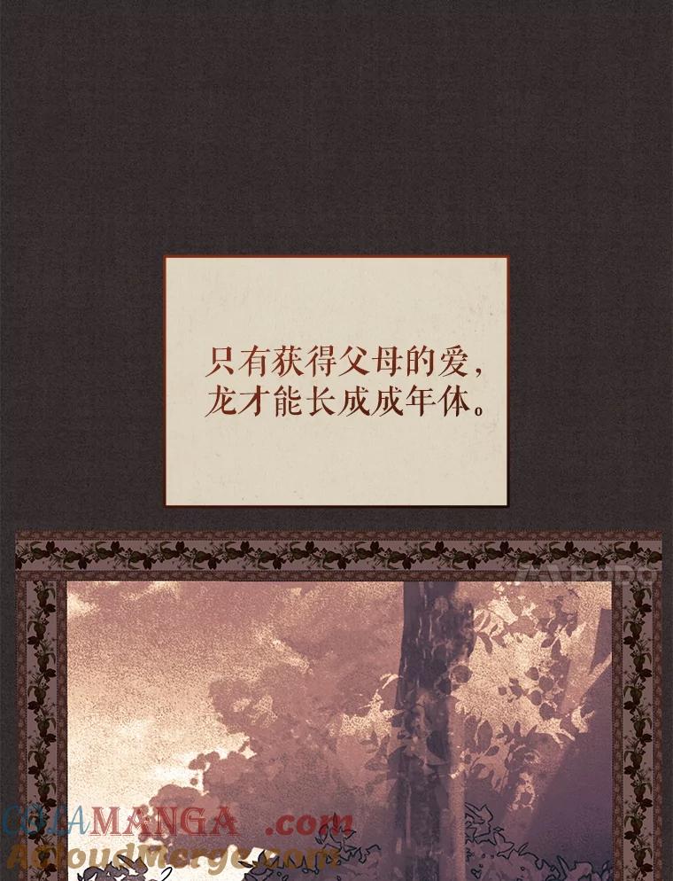 65.jpg