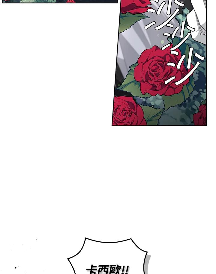 102.jpg