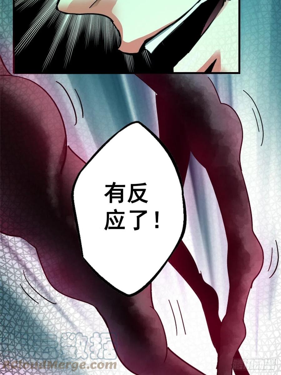 81.jpg