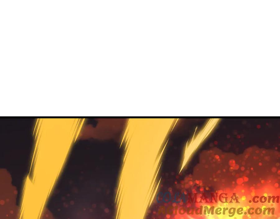 221.jpg